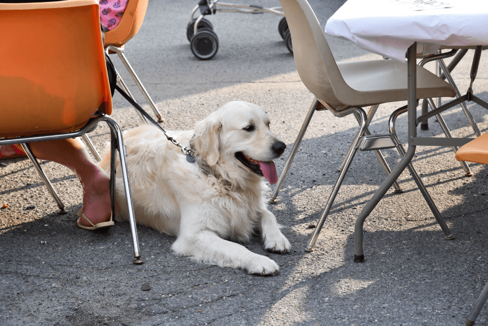 Charlotte Gaiser and Friends at GIGS Courtyard, June 2, 2023 - photo 17