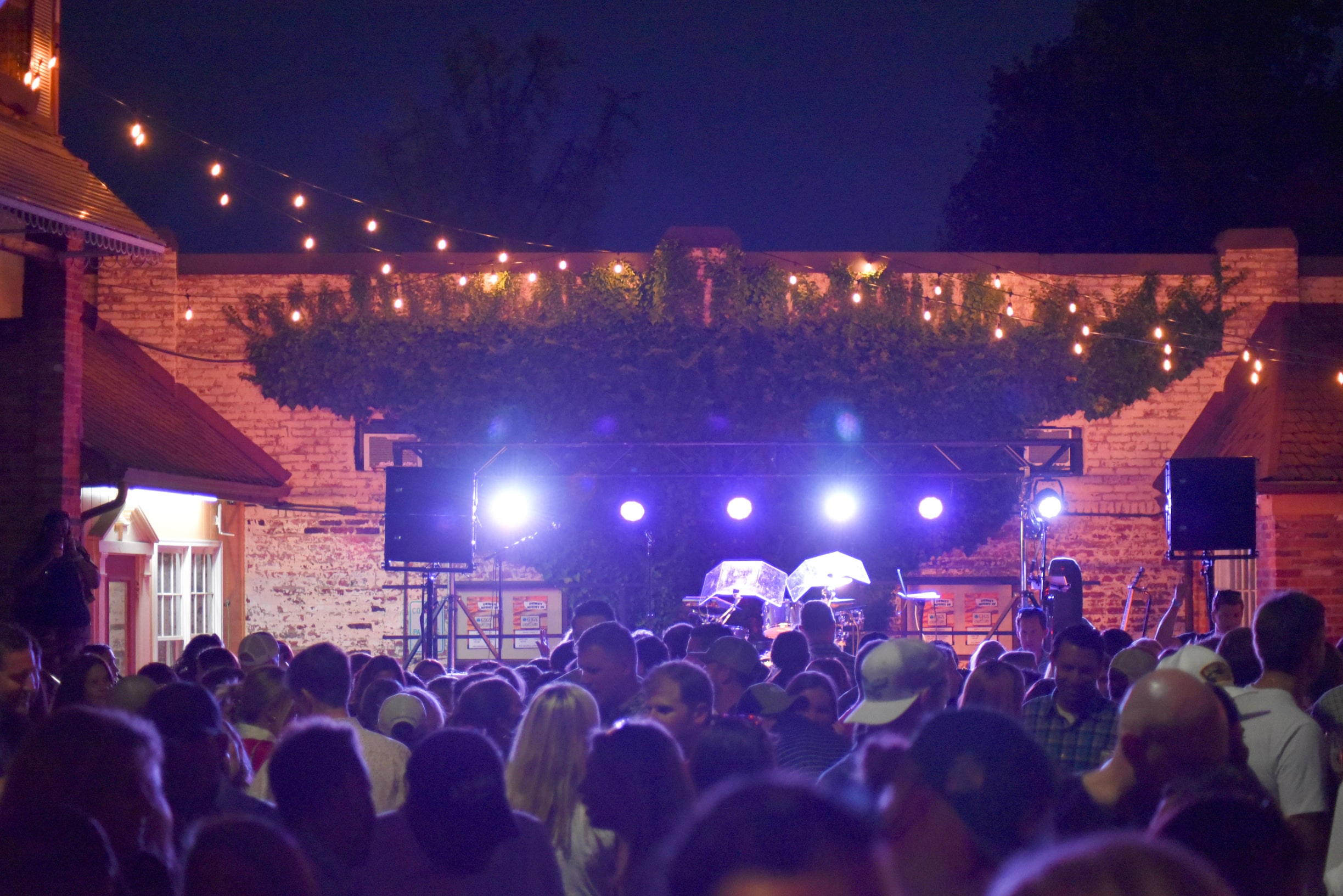 Dewey Night IV at GIGS Courtyard, September 14, 2024 - photo 28